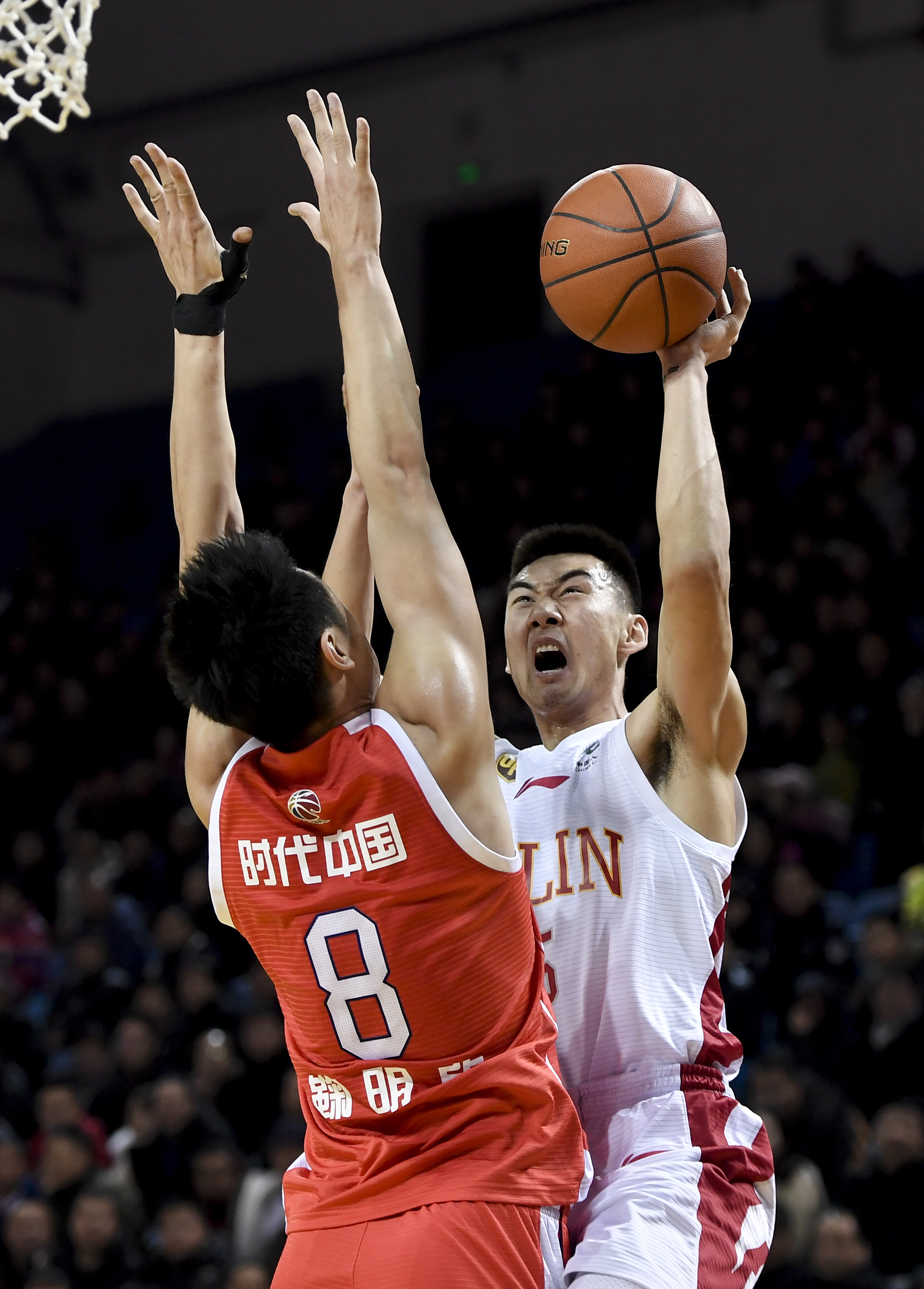 生态成长带 生态成长带